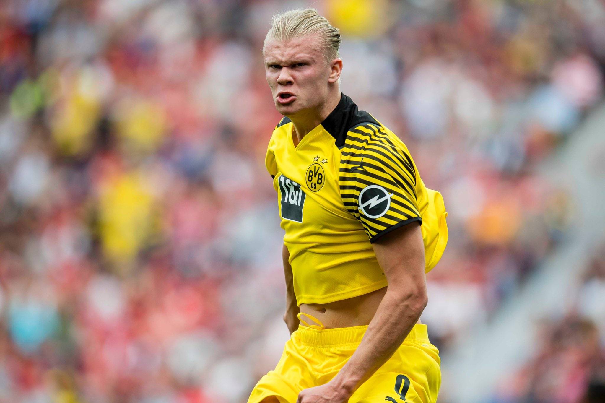 制定可重复 制定可重复